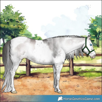 Horse Color:Platinum Liver Red Onyx Sabino Splash Tobiano 