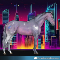 Horse Color:Watercolor White Spotted Bay Rabicano 