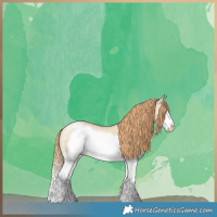 Horse Color:Buckskin Roan Pearl Splash Frame 