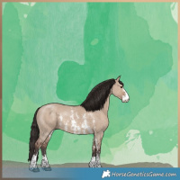 Horse Color:Liver Red Dun Sabino 