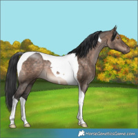 Horse Color:Brown Dun Mushroom Tobiano