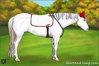 Horse Color:Chestnut Appaloosa