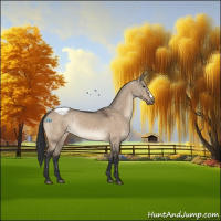 Horse Color:Brown Dun Snowflake VarnishRabicano