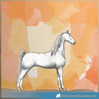Horse Color:Gold Champagne Dun Sabino Near Leopard Brindle 