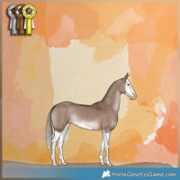 Horse Color:Liver Red Dun Splash Brindle
