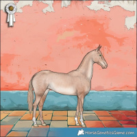 Horse Color:Gold Champagne Appaloosa 