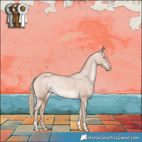 Horse Color:Gold Champagne Appaloosa 