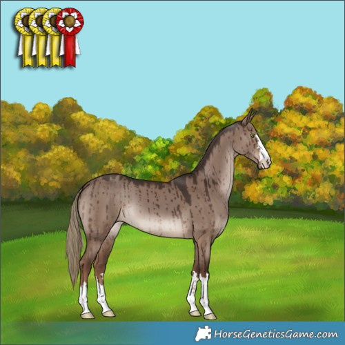 Horse Color:Liver Red Dun Brindle 