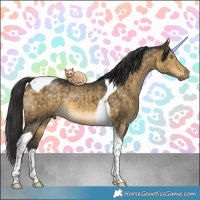 Horse Color:Buckskin Dun Tobiano Brindle 