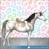 Horse Color:Buckskin Dun Mushroom Sabino Splash Tobiano Brindle