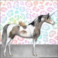 Horse Color:Brown Ice Dun Sabino Tobiano Brindle 