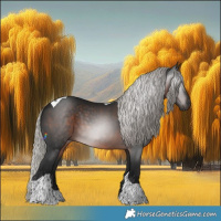 Horse Color:Gray Silver Brown Tobiano 