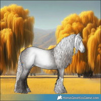 Horse Color:Gray Silver Black Tobiano 