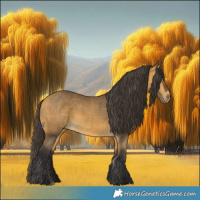 Horse Color:Buckskin 