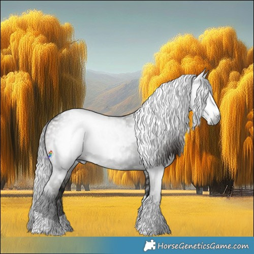 Horse Color:Gray Silver Black Tobiano  and Gray Brown Tobiano 