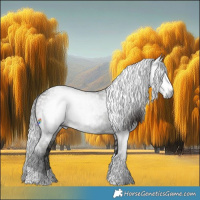 Horse Color:Gray Silver Black Tobiano  and Gray Brown Tobiano 