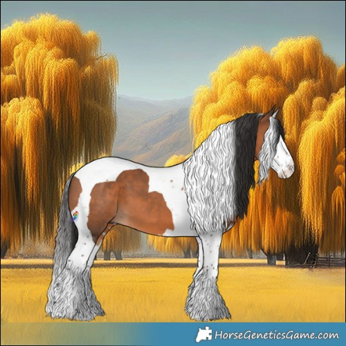 Horse Color:Bay Splash Tobiano 