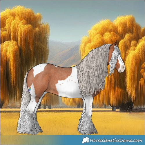 Horse Color:Silver Bay Roan Splash Tobiano