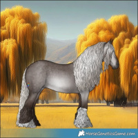 Horse Color:Gray Silver Blue Roan Tobiano 