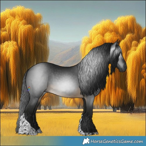 Horse Color:Gray Buckskin Tobiano