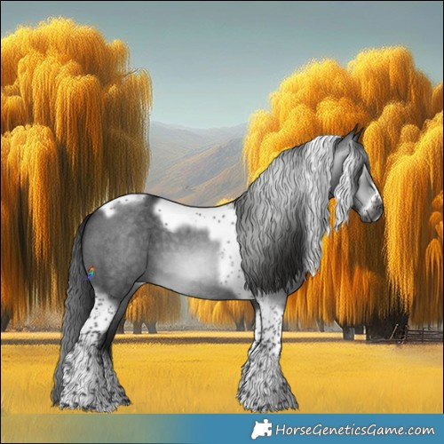 Horse Color:Gray Smoky Blue Roan Splash Tobiano Frame