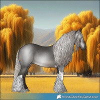 Horse Color:Gray Silver Black Tobiano Rabicano