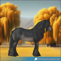 Horse Color:Black Rabicano 