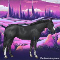 Horse Color:Black  and Black 