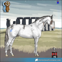 Horse Color:White Spotted Liver Chestnut 