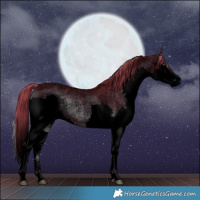Horse Color:Void Watercolor Liver Red Onyx Roan Sabino Splash 
