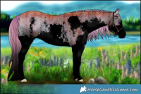 Horse Color:Void Watercolor Plaid Liver Red Dun Onyx Sabino Splash Brindle