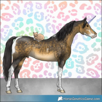 Horse Color:Buckskin Sabino Tobiano 