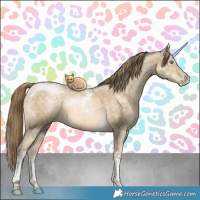 Horse Color:Buckskin Pearl Tobiano