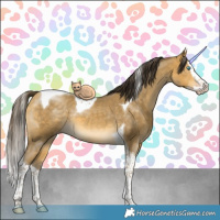 Horse Color:Sable Cream Champagne Splash Tobiano 
