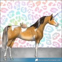 Horse Color:Sable Cream Champagne Splash Tobiano