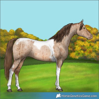 Horse Color:Brown Pearl Dun Tobiano Brindle 