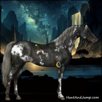 Horse Color:White Spotted Liver Chestnut Ice Mushroom