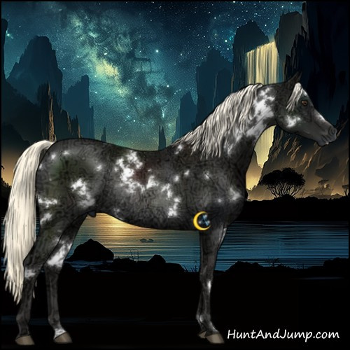 Horse Color:White Spotted Liver Chestnut Ice Mushroom Rabicano 