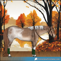 Horse Color:White Spotted Liver Red Dun Tobiano Rabicano
