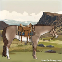 Horse Color:Liver Red Dun 