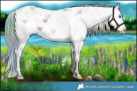 Horse Color:Nacre Watercolor White Spotted Liver Red Dun Sabino Splash Brindle 