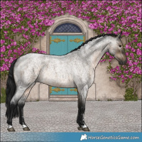 Horse Color:Gray Brown Roan Dun 