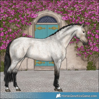 Horse Color:Gray Brown Roan Dun 