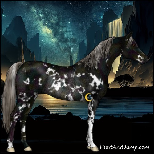 Horse Color:White Spotted Midnight Liver Chestnut Ice Mushroom Rabicano