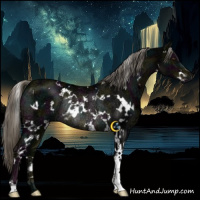Horse Color:White Spotted Midnight Liver Chestnut Ice Mushroom Rabicano 