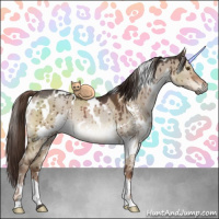 Horse Color:White Spotted Liver Red Dun Rabicano Brindle 