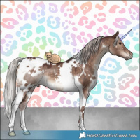 Horse Color:White Spotted Chocolate Silver Brown Dun Mushroom Tobiano 