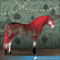 Horse Color:Void Watercolor Plaid  Liver Red Onyx Roan Tobiano Rabicano 