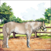Horse Color:White Spotted Chocolate Palomino Pearl Tobiano 