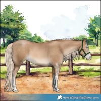 Horse Color:White Spotted Chocolate Palomino Pearl Tobiano 